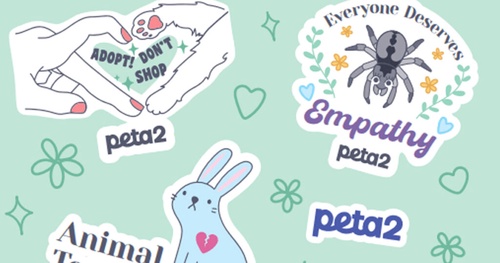 FREE Animal Rights Stickers!