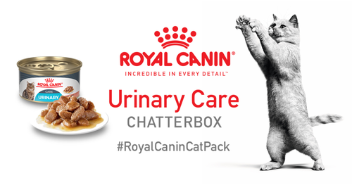 Apply for the Royal Canin Urinary Care Chatterbox