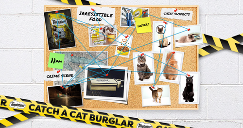 TEMPTATIONS | Catch a Cat Burglar Sweepstakes